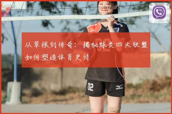 从草根到传奇:揭秘球类四大联盟如何塑造体育史诗