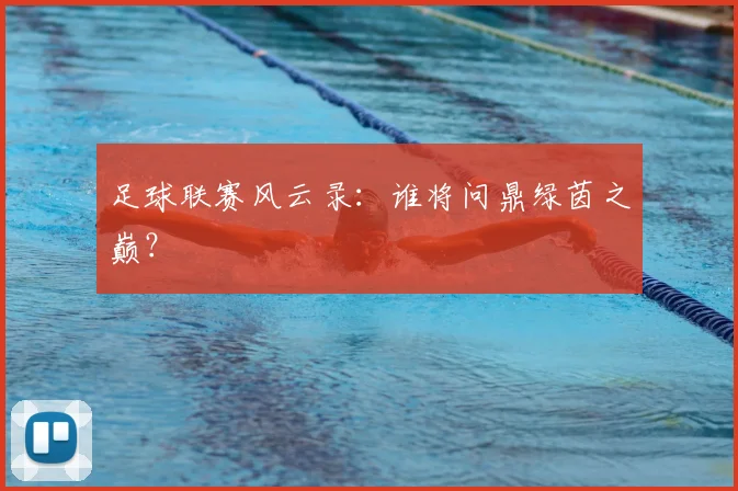 足球联赛风云录：谁将问鼎绿茵之巅？